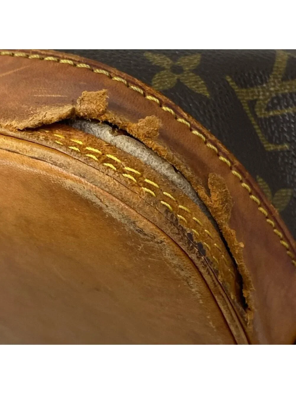 Louis Vuitton category handbag